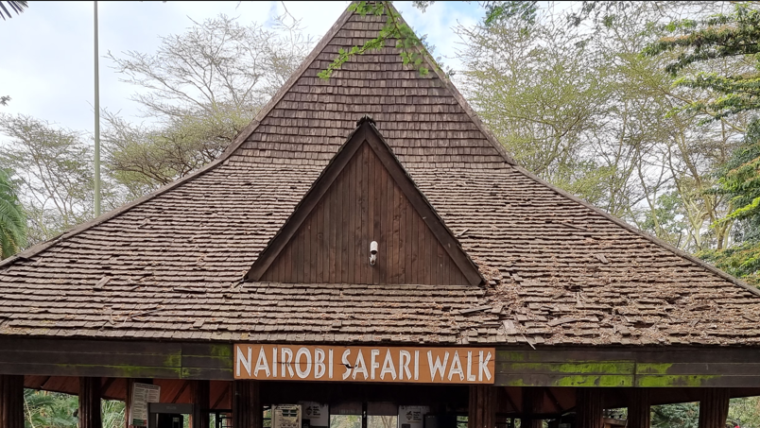 Nairobi Safari Walk Charges, Entry Fees, And Opening Hours