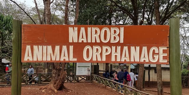 Animal Orphanage Nairobi Entrance Fees