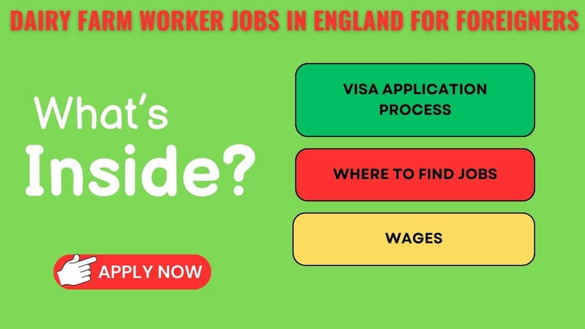 Dairy Farm Worker Jobs in England for Foreigners