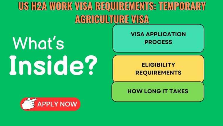 US H2A Work Visa Requirements: Temporary Agriculture Visa