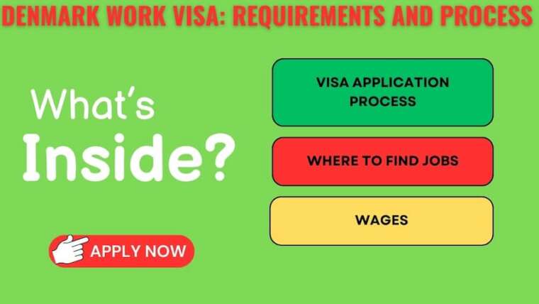 Denmark Work Visa: Requirements and Process 