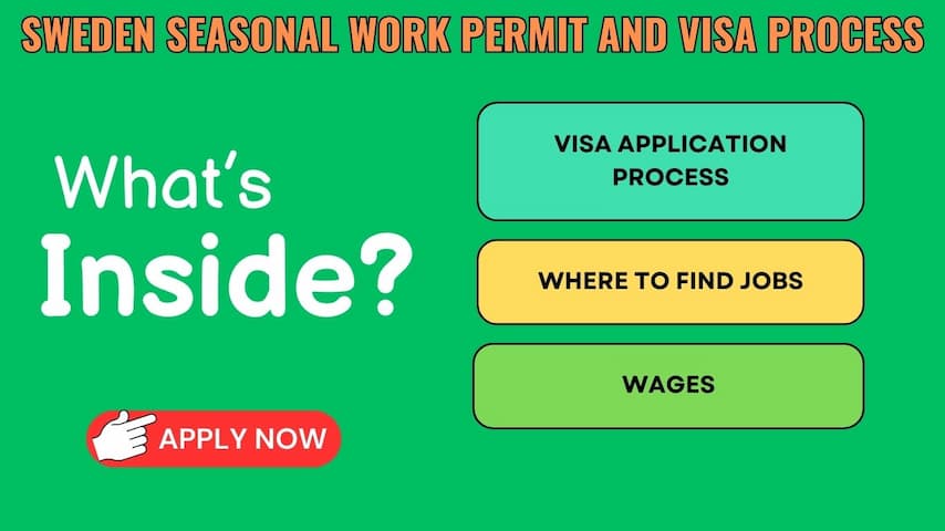 Sweden Seasonal Work Permit and Visa Process